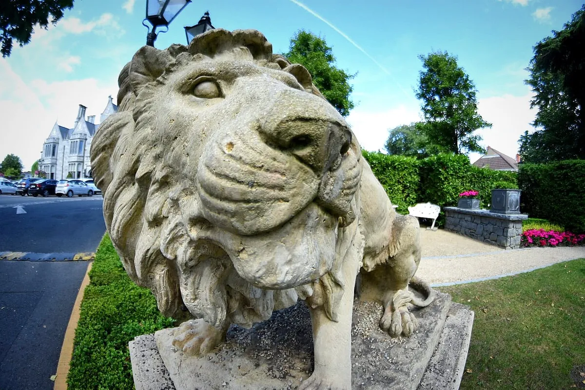 Nikon 8mm FISHEYE - Image 4
