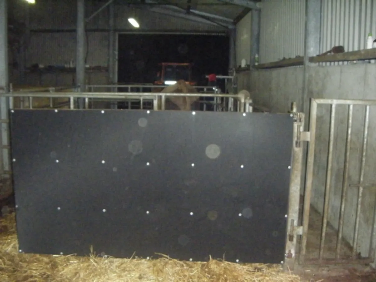 STOKBOARD - Image 3