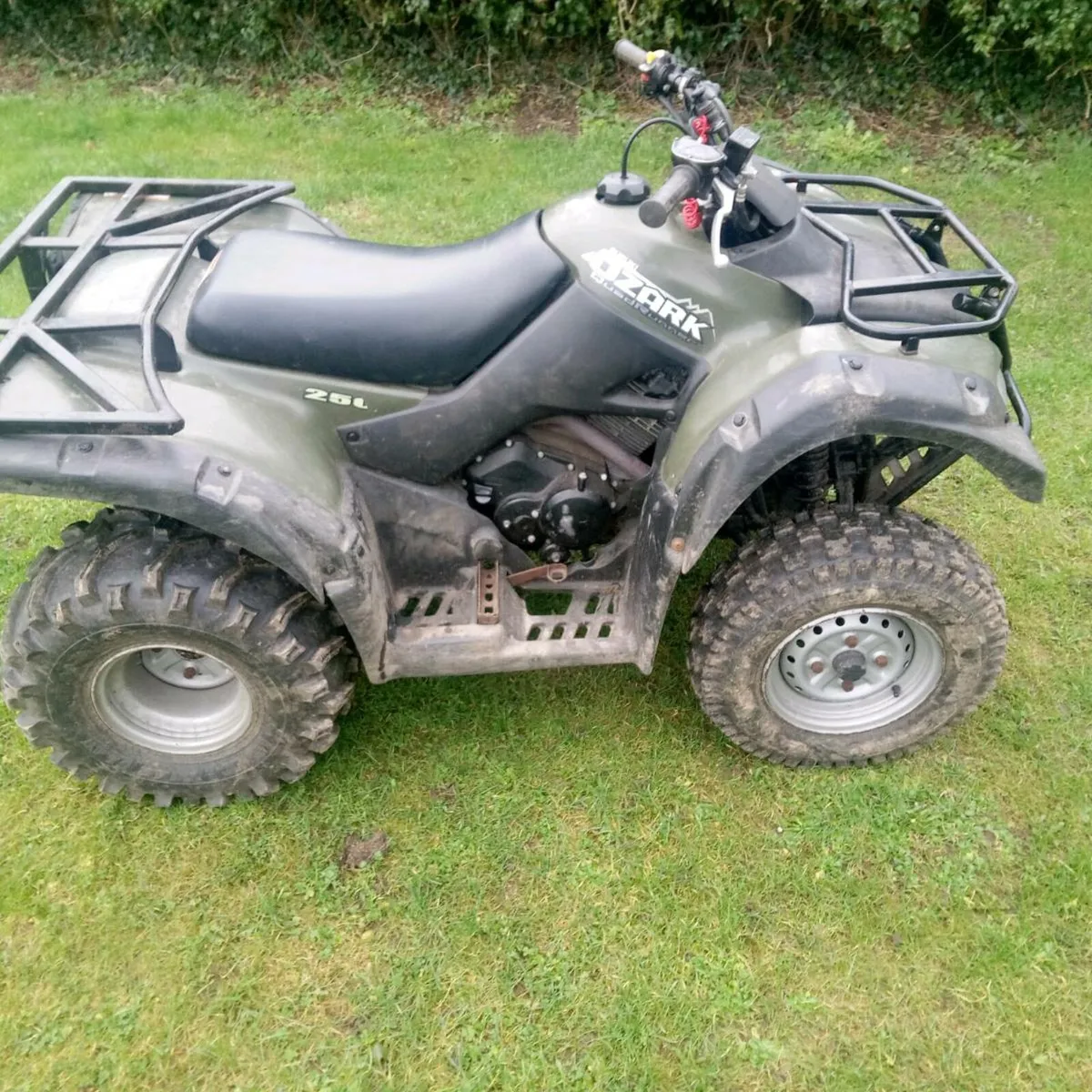 Suzuki Ozark 250 - Image 2