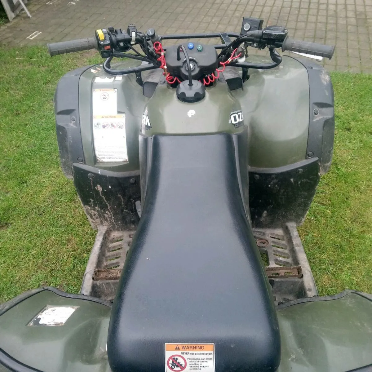 Suzuki Ozark 250 - Image 3