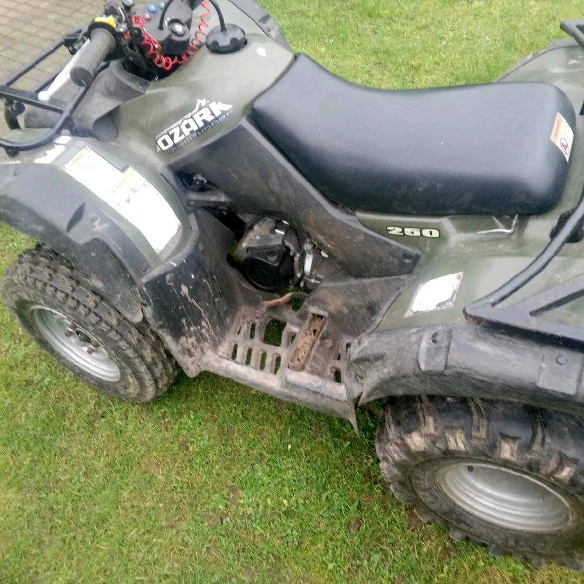 Suzuki Ozark 250 - Image 4