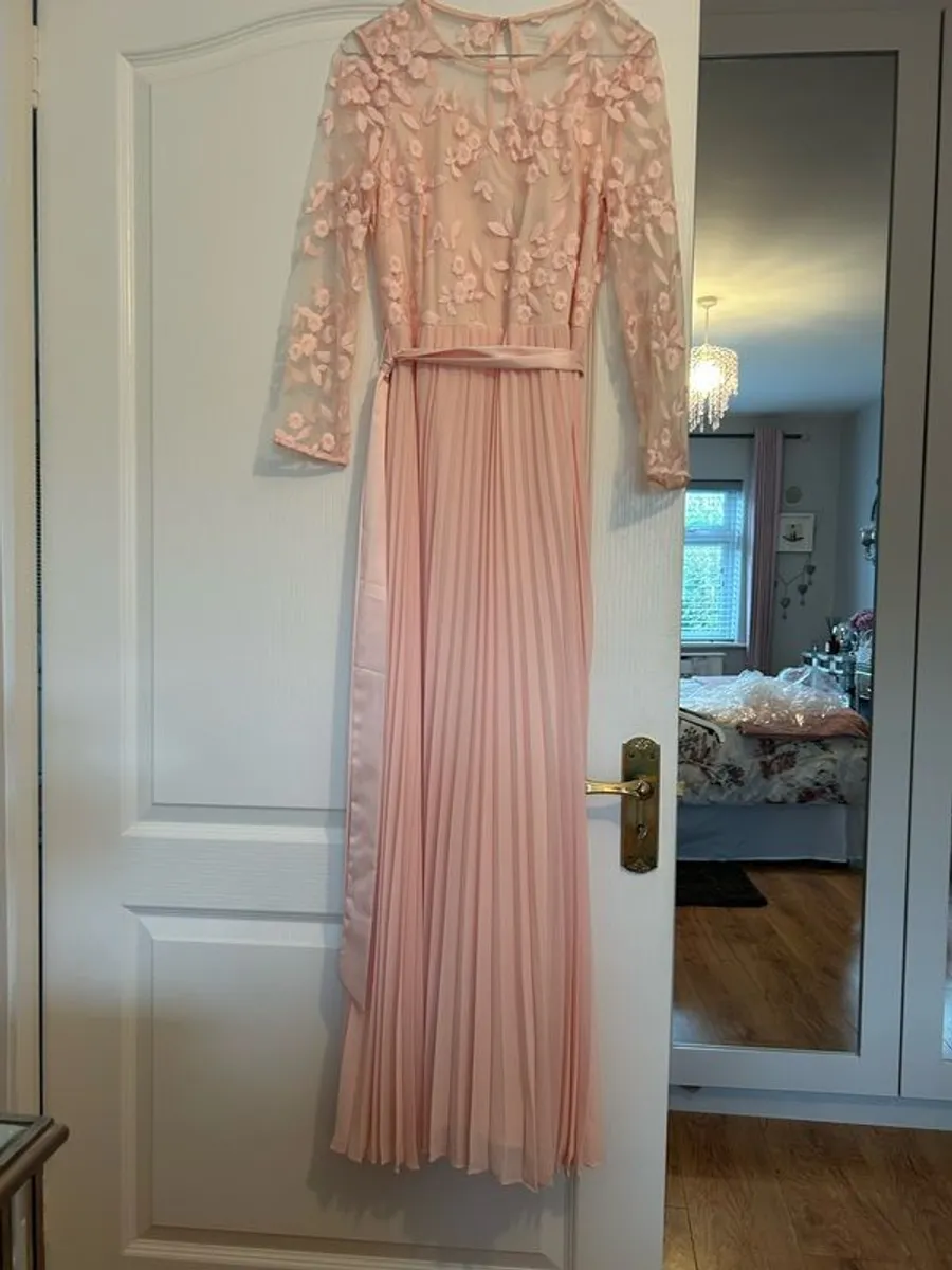 Coast maxi dress blush - Image 1