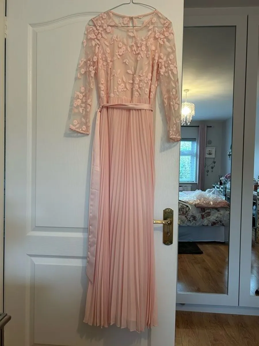 Coast maxi dress blush - Image 2