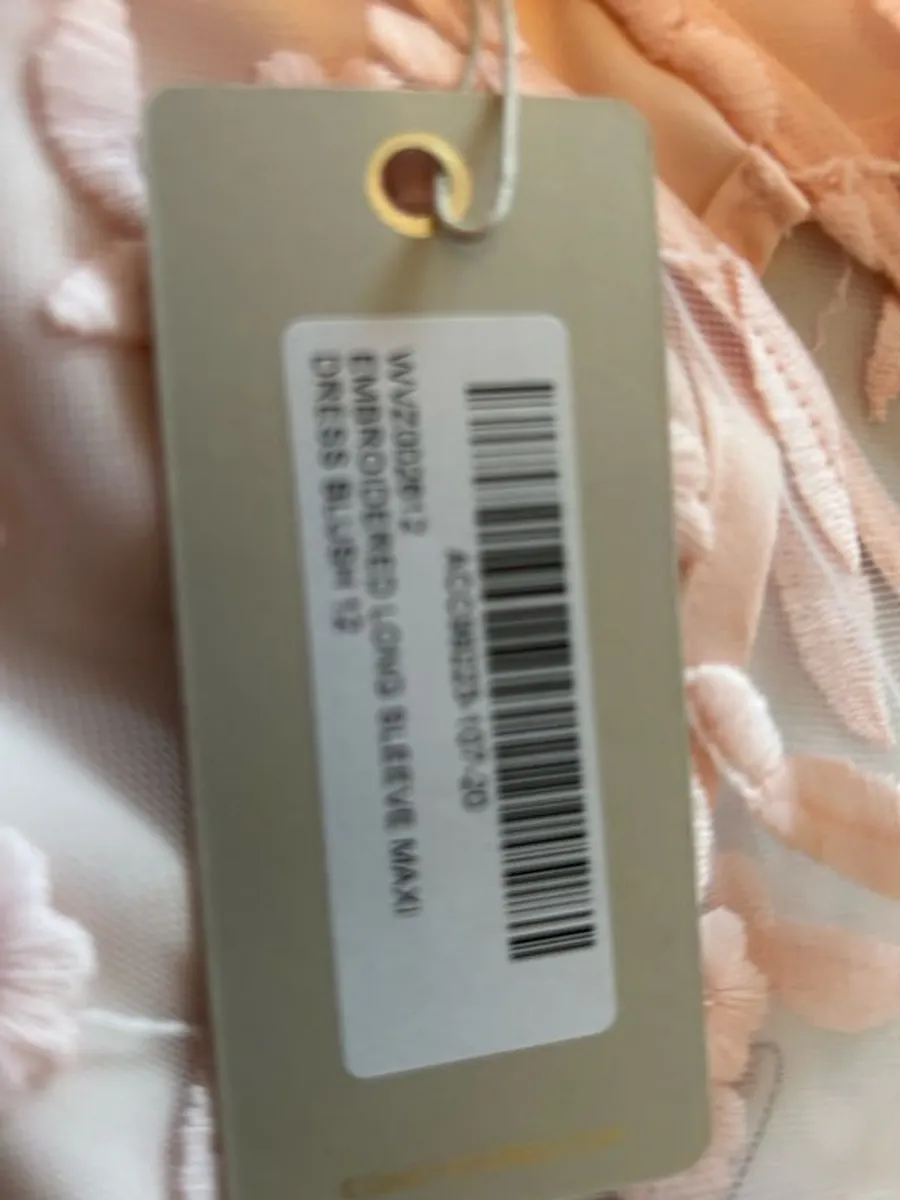 Coast maxi dress blush - Image 3