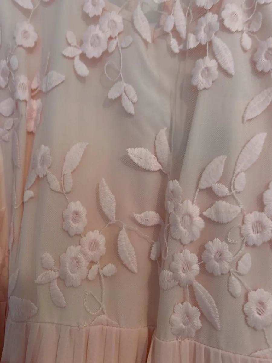 Coast maxi dress blush - Image 4