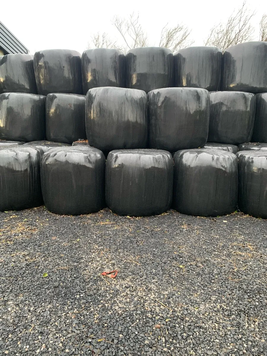 Haylage - Image 1