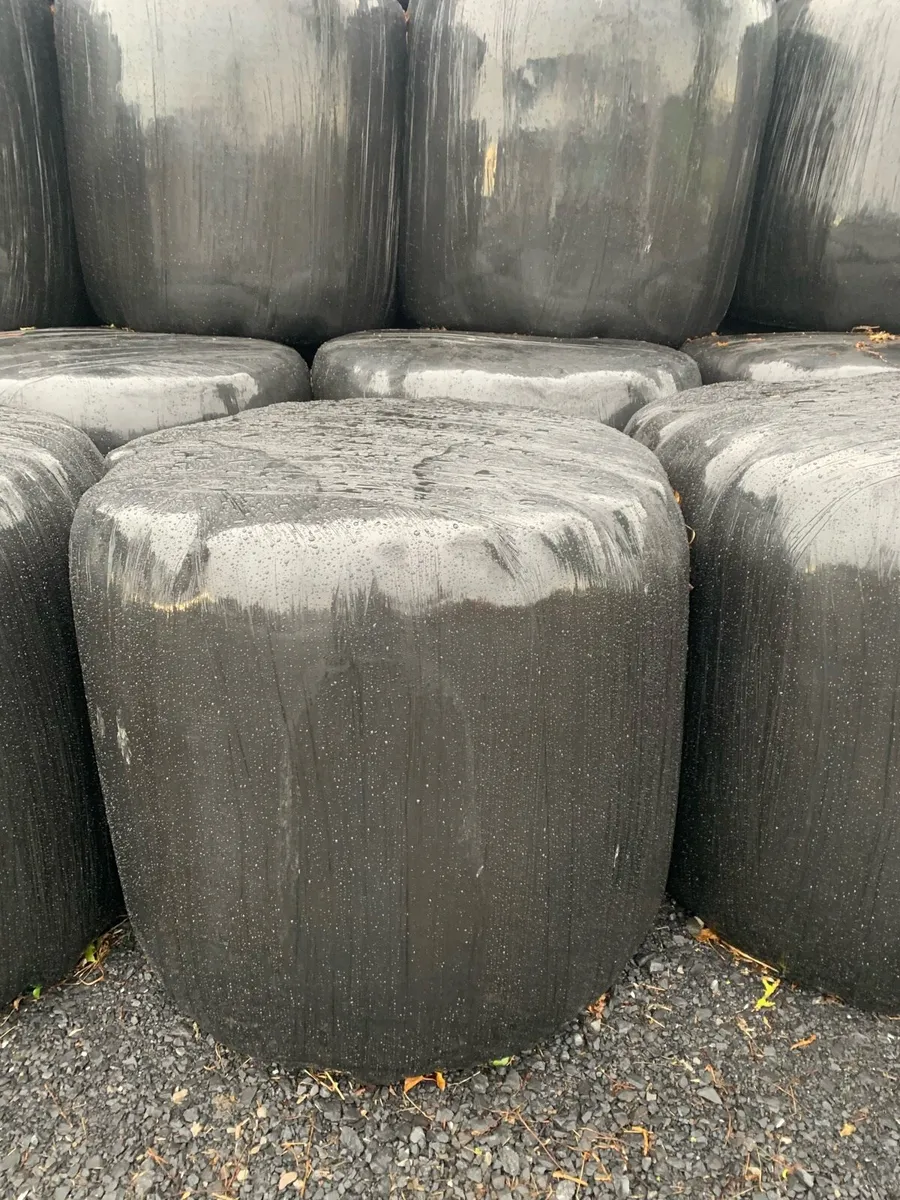 Haylage - Image 2