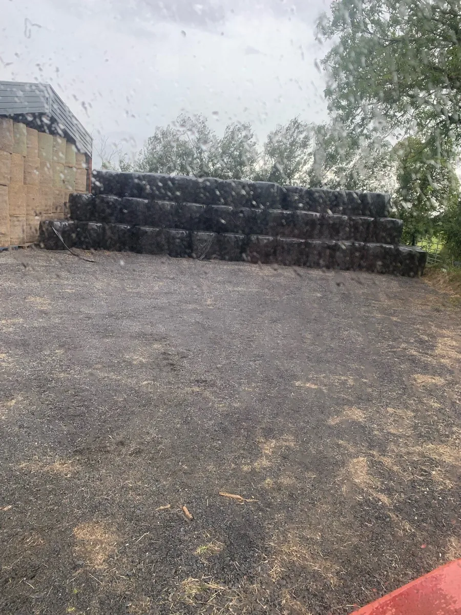 Haylage - Image 3