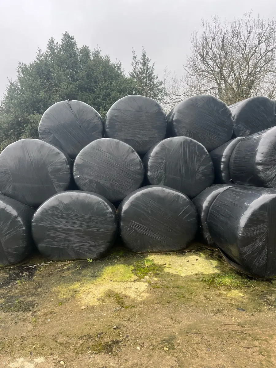 Silage bales - Image 1
