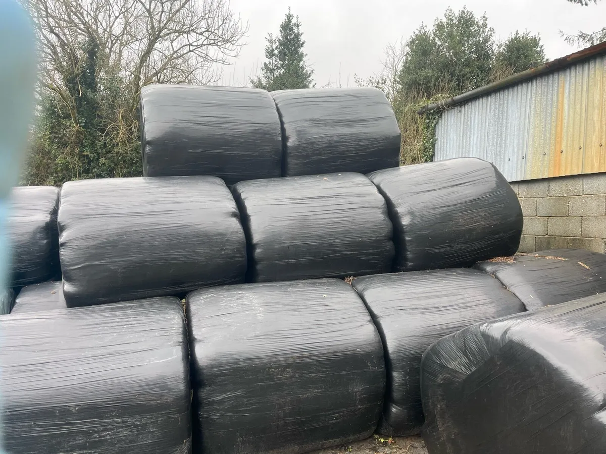 Silage bales - Image 2