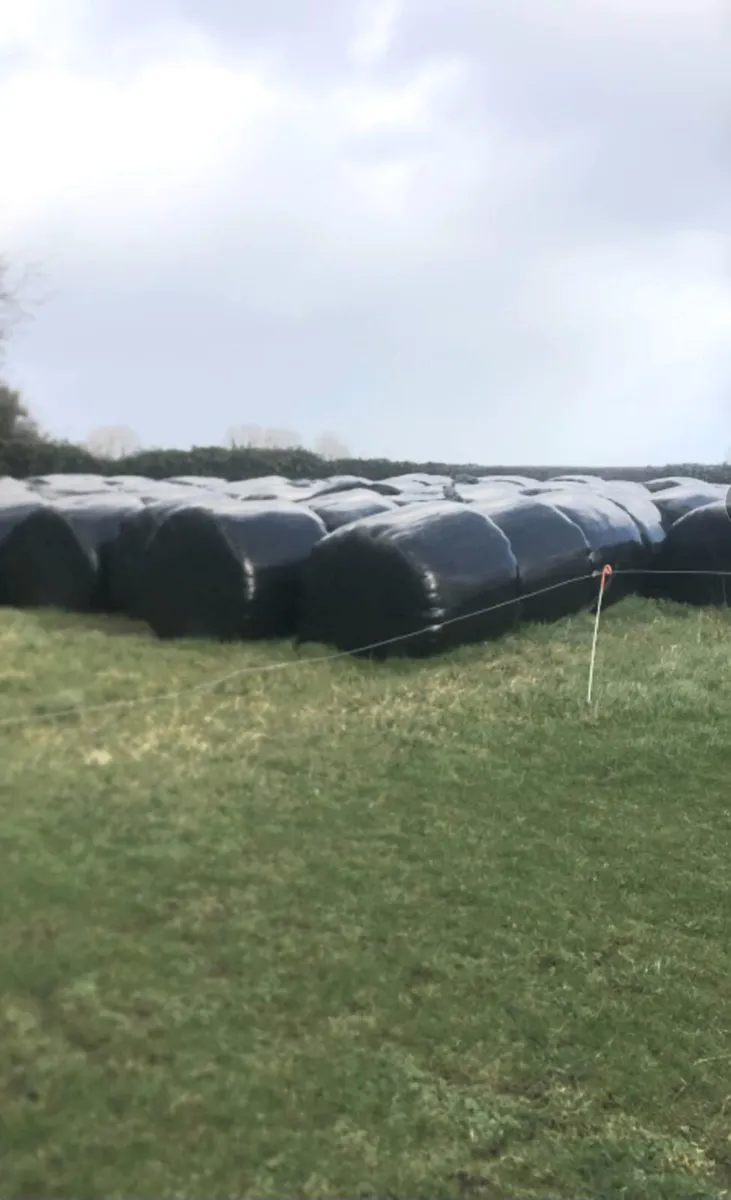 Haylage.