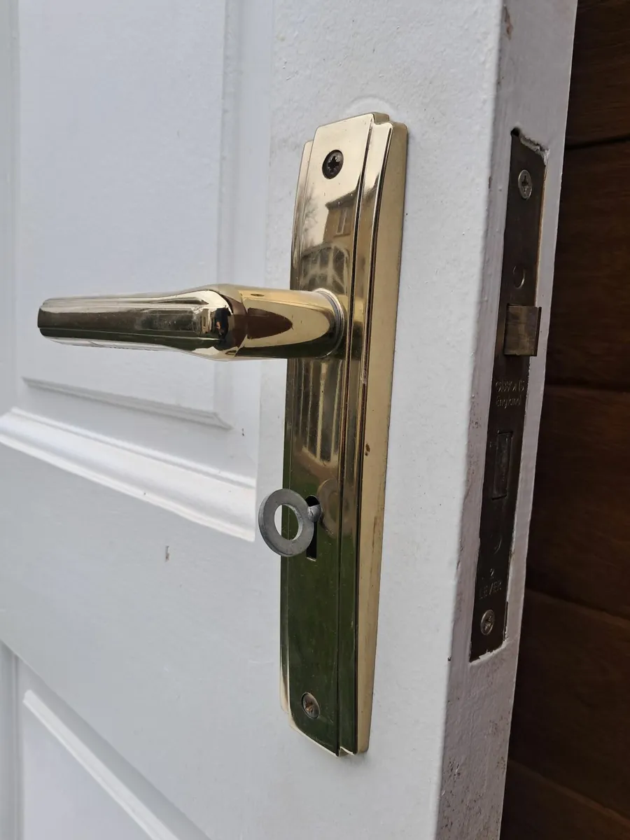 Solid Wood Door - Image 3
