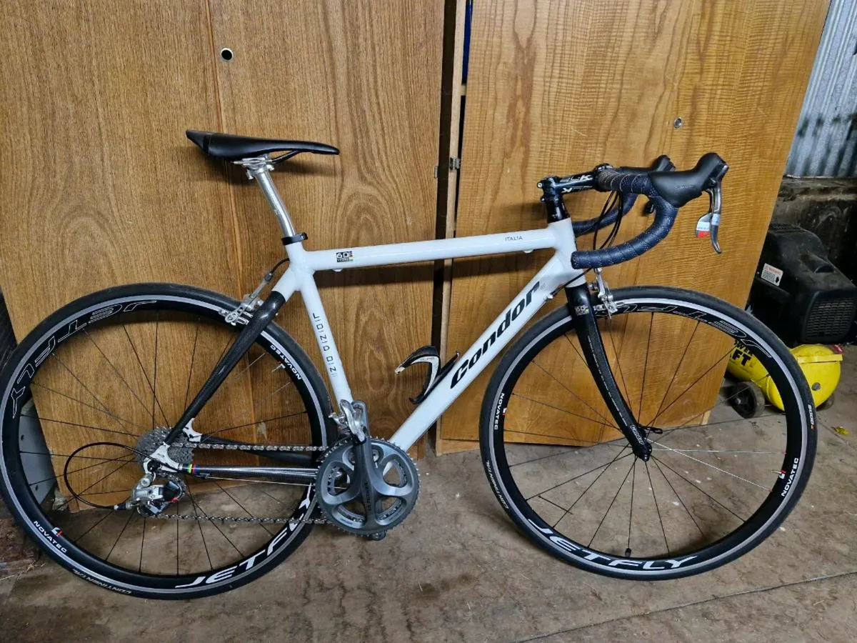 Condor 54cm