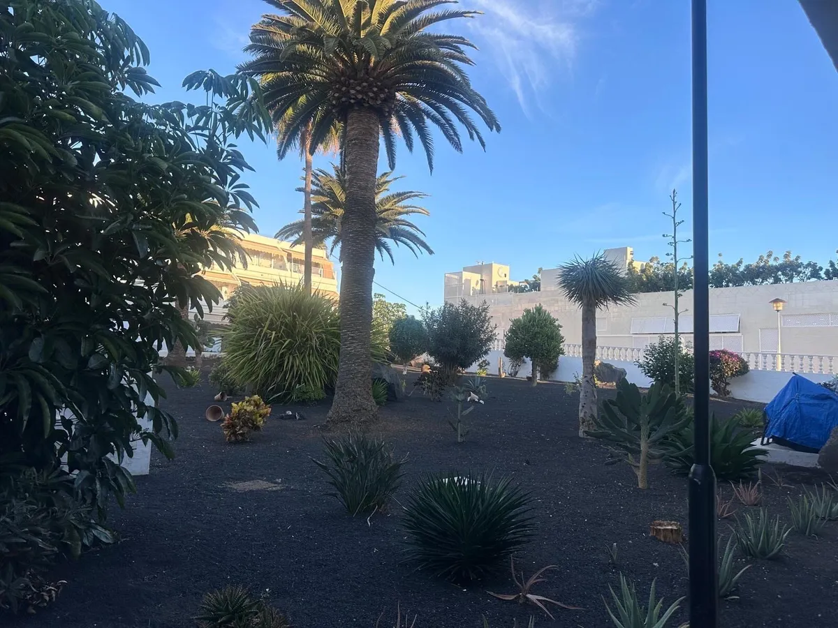 Lanzarote Holiday Rental - Image 3