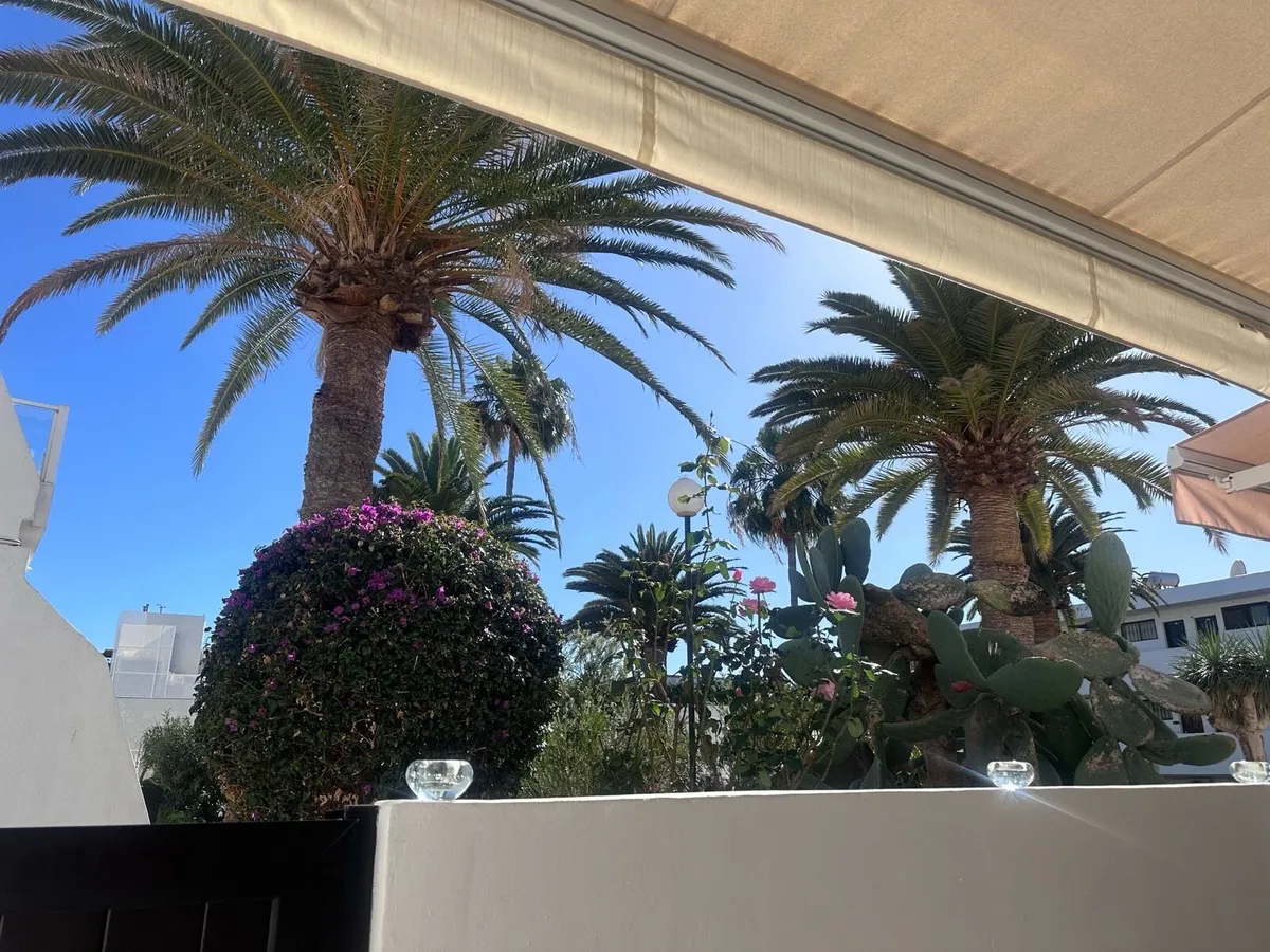 Lanzarote Holiday Rental - Image 4