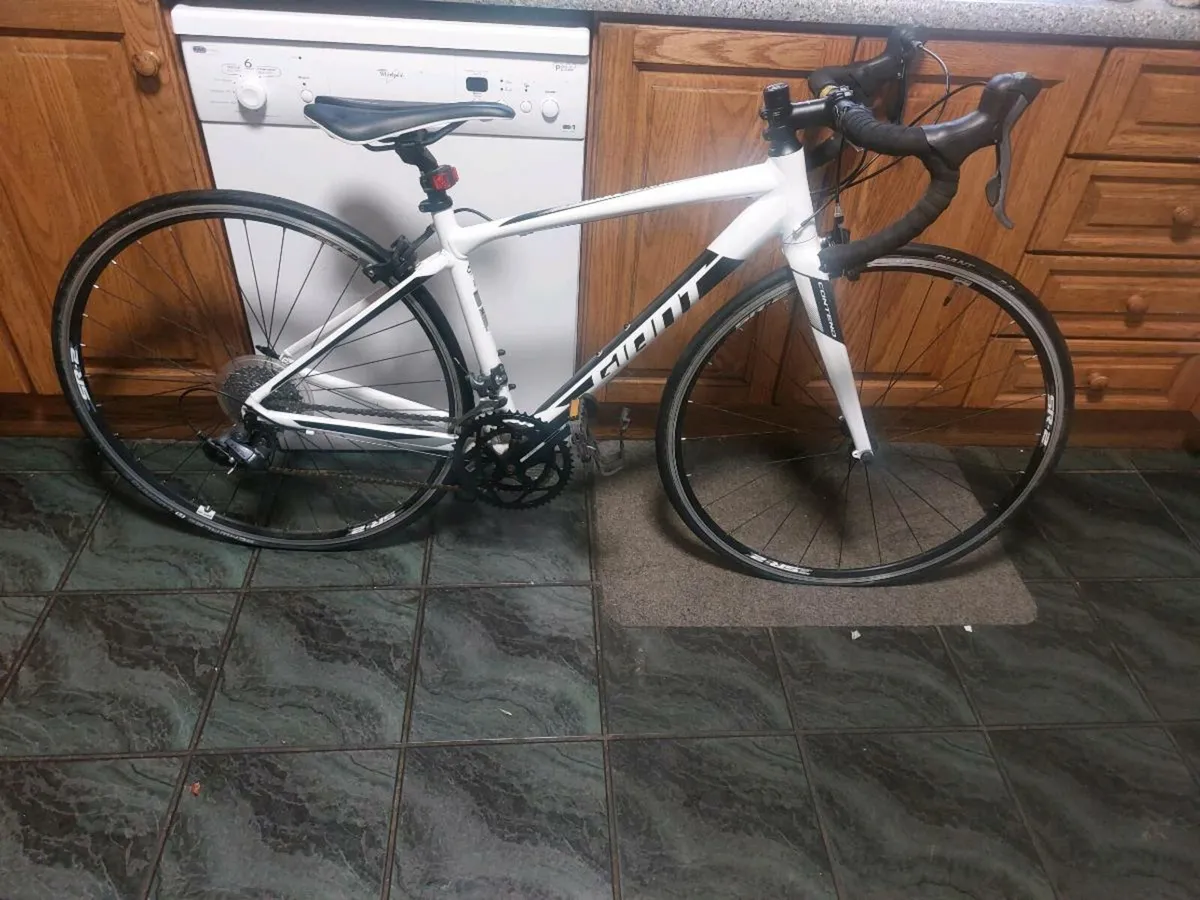 CONTEND GIANT RACER XS