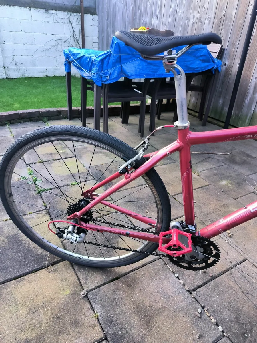 Lightweight Trek Bicycle - Image 1