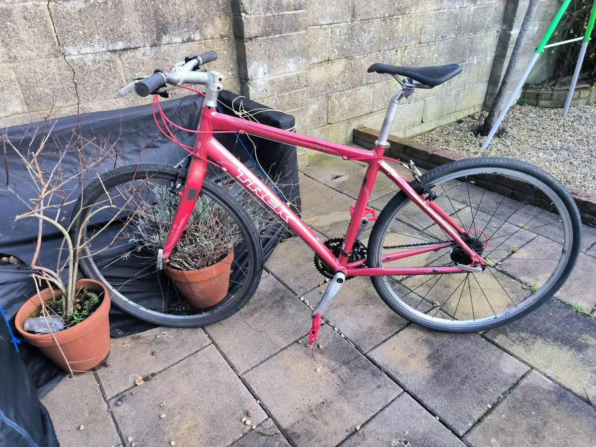 Lightweight Trek Bicycle - Image 2