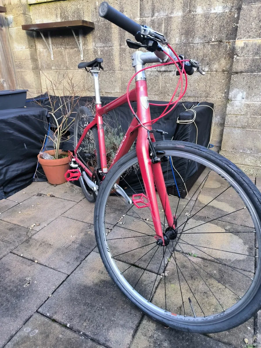 Lightweight Trek Bicycle - Image 3
