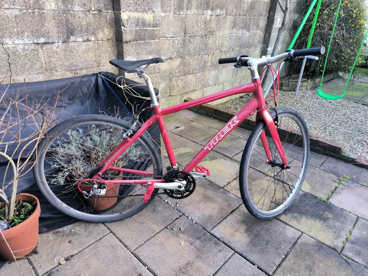 Lightweight Trek Bicycle - Image 4