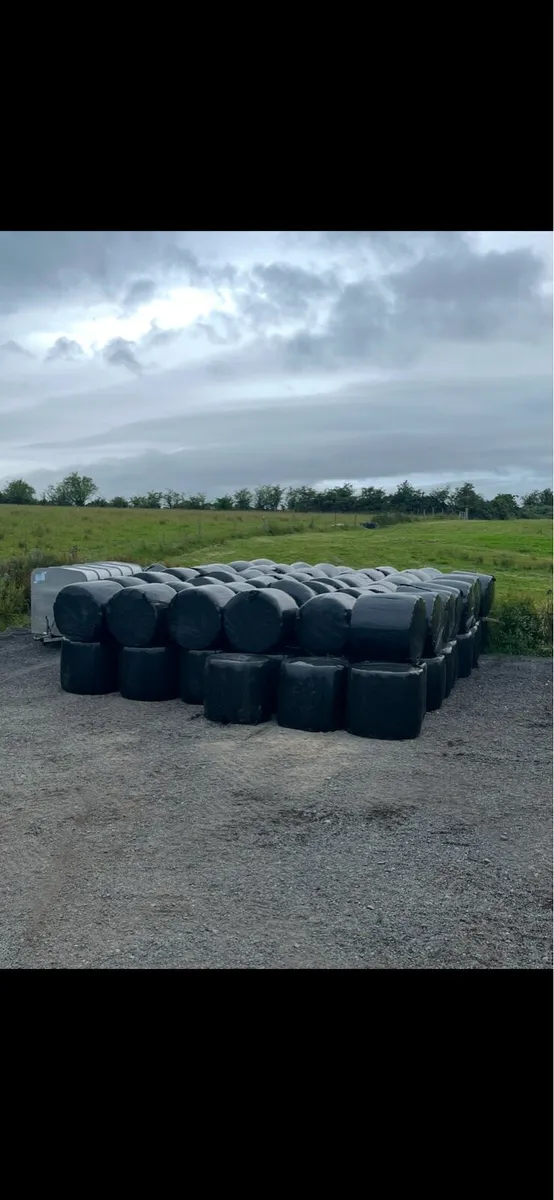 bales - Image 3