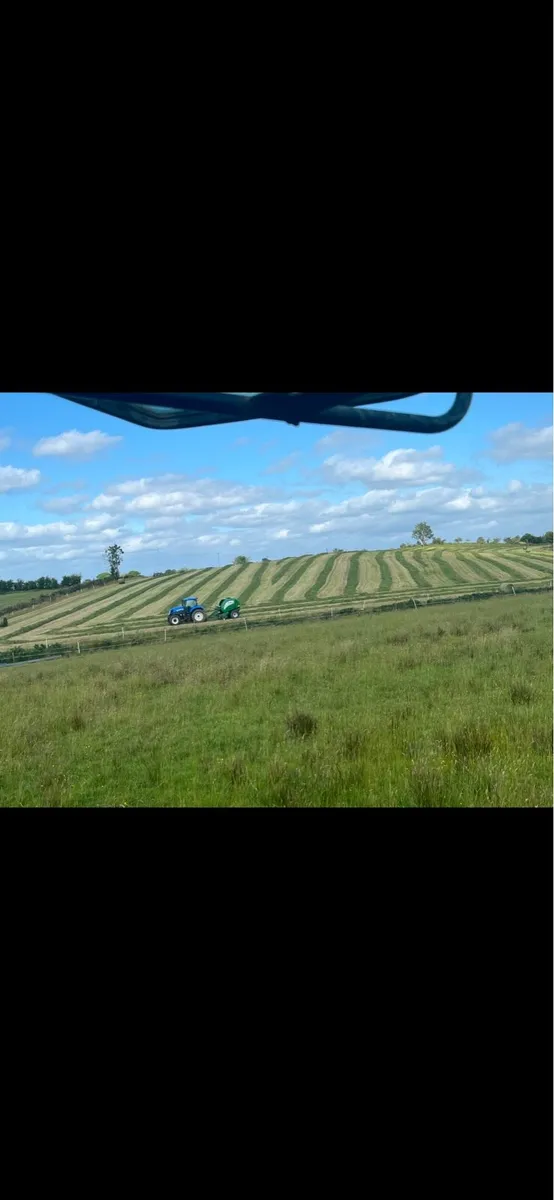 bales - Image 4