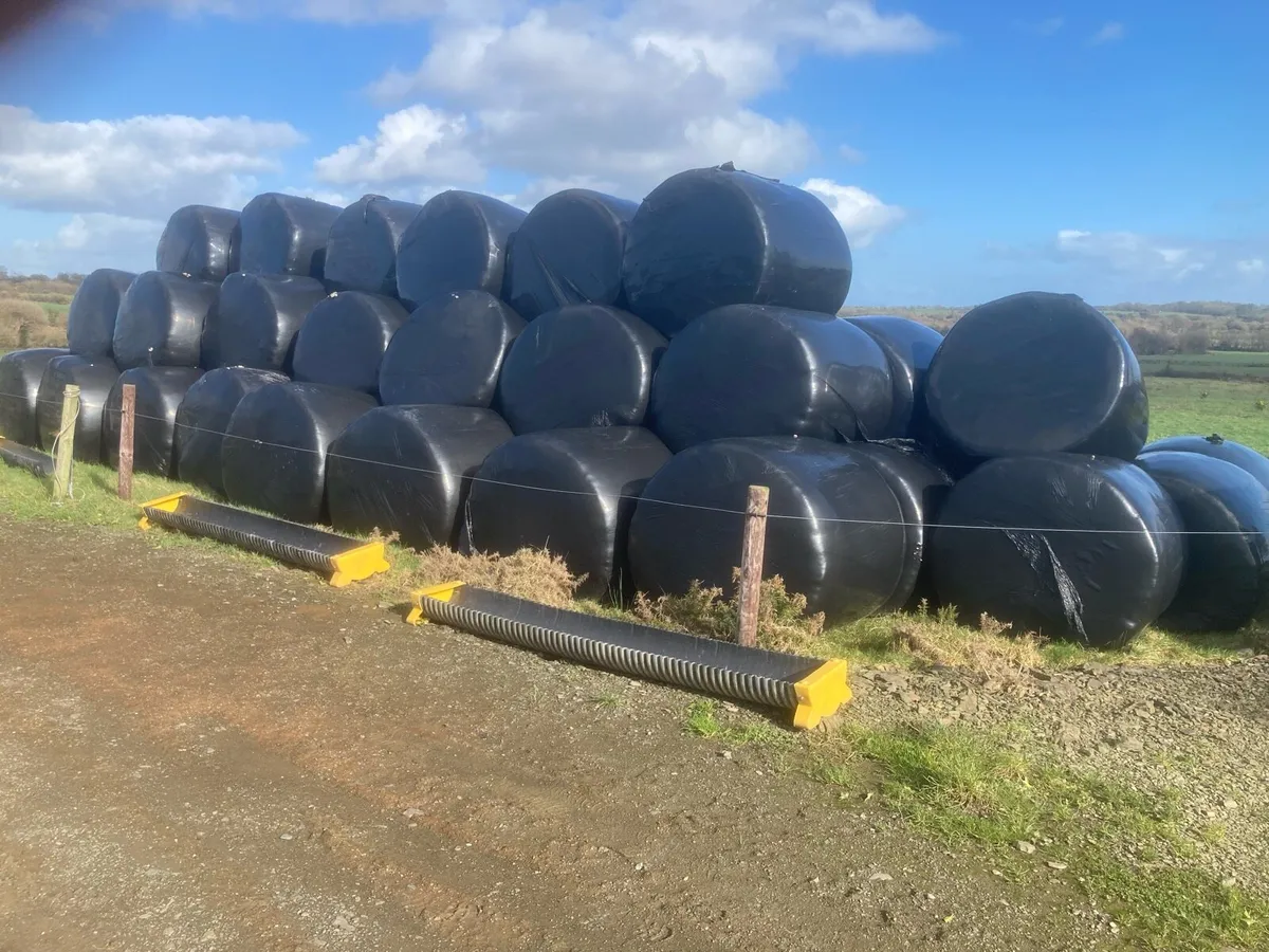 Silage bales - Image 1