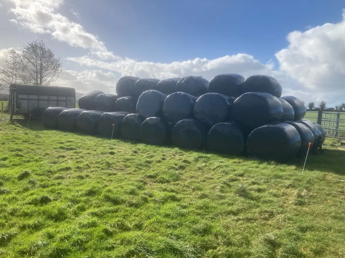 Silage bales - Image 2