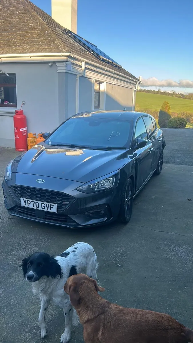 Ford focus st - Image 1