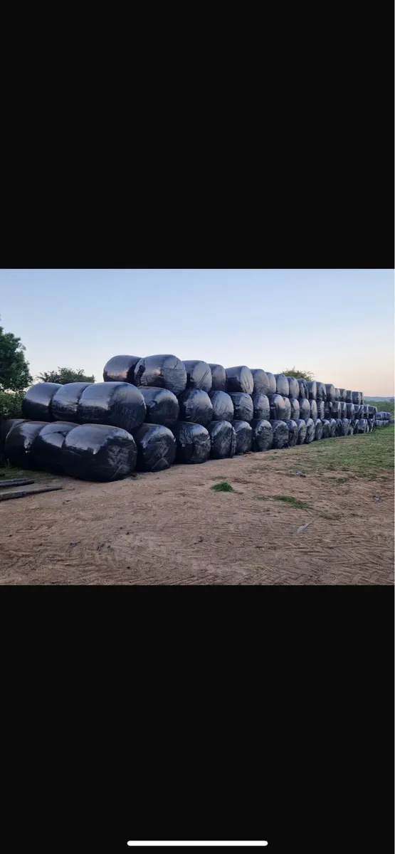 Silage bales FORSALE DELIVERED - Image 1