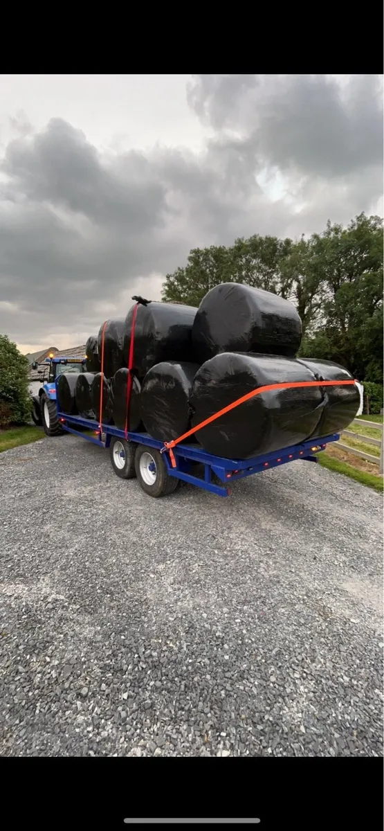 Silage bales FORSALE DELIVERED - Image 2