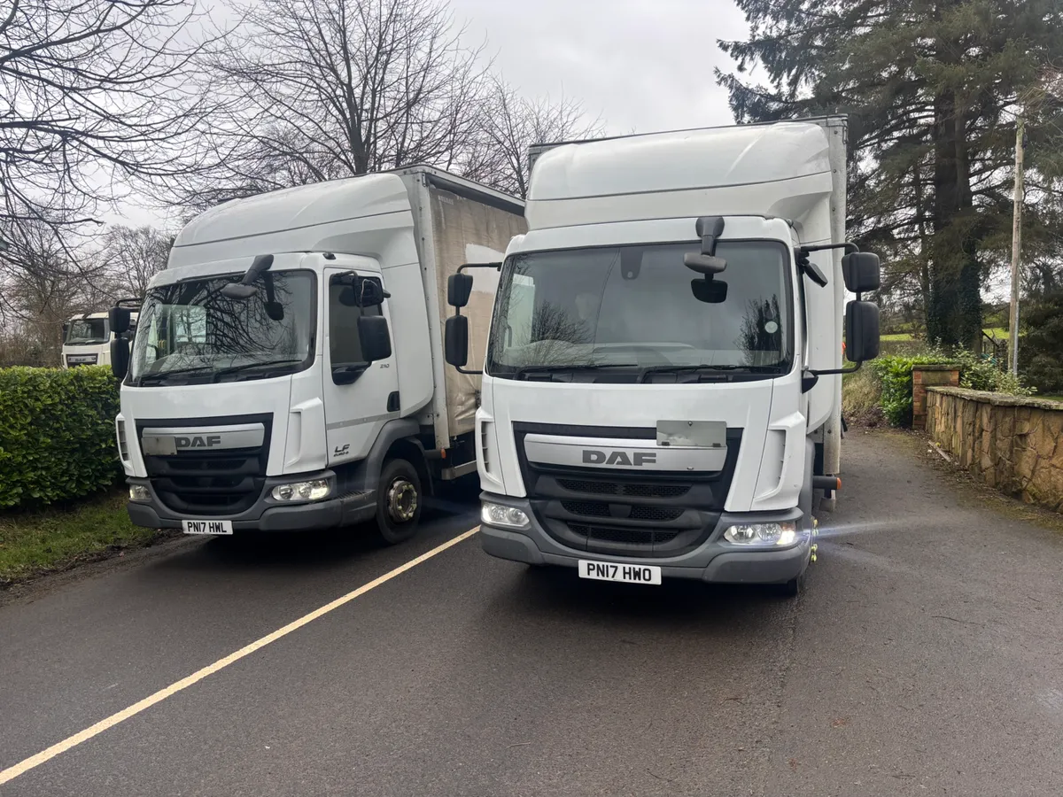 Daf lf 12 ton curtain sider - Image 1