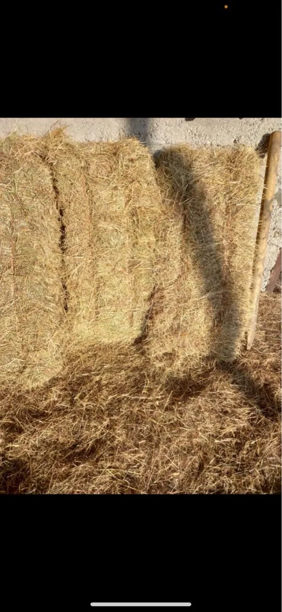 Small Square Bales Of Hay