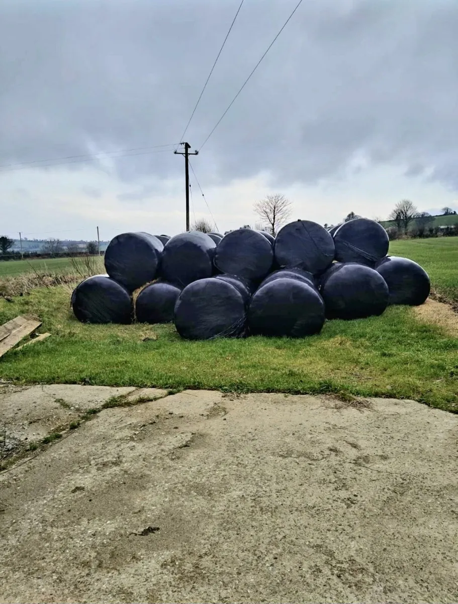 SILAGE BALES