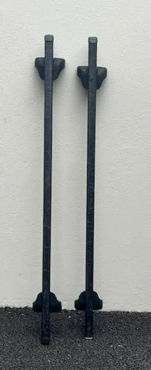 Thule Roof Rack - Image 1