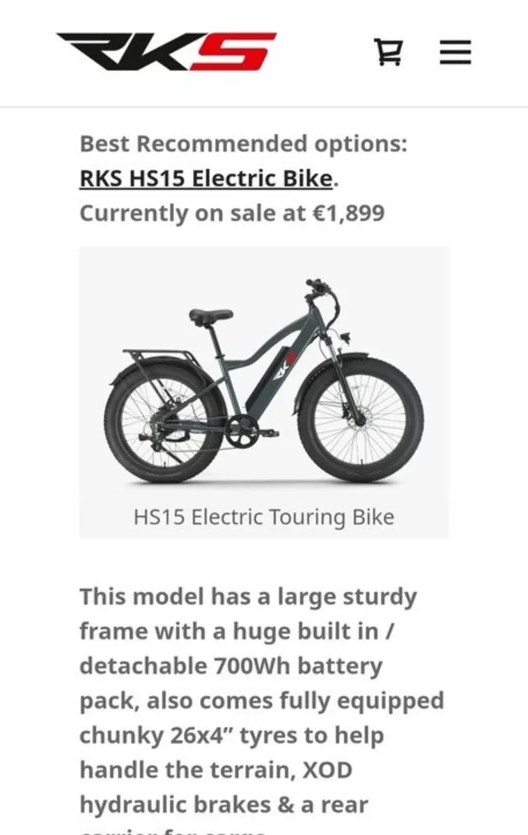 RKS HS15 Electric Bike - Image 1