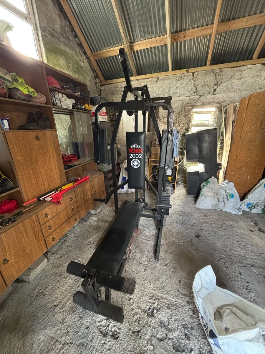 Multipurpose gym - Image 2