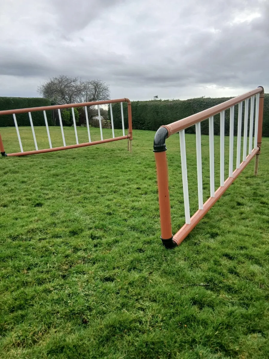 Equestrian jump  wings - Image 1