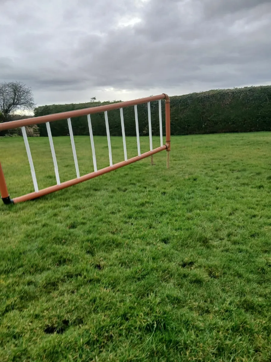 Equestrian jump  wings - Image 4
