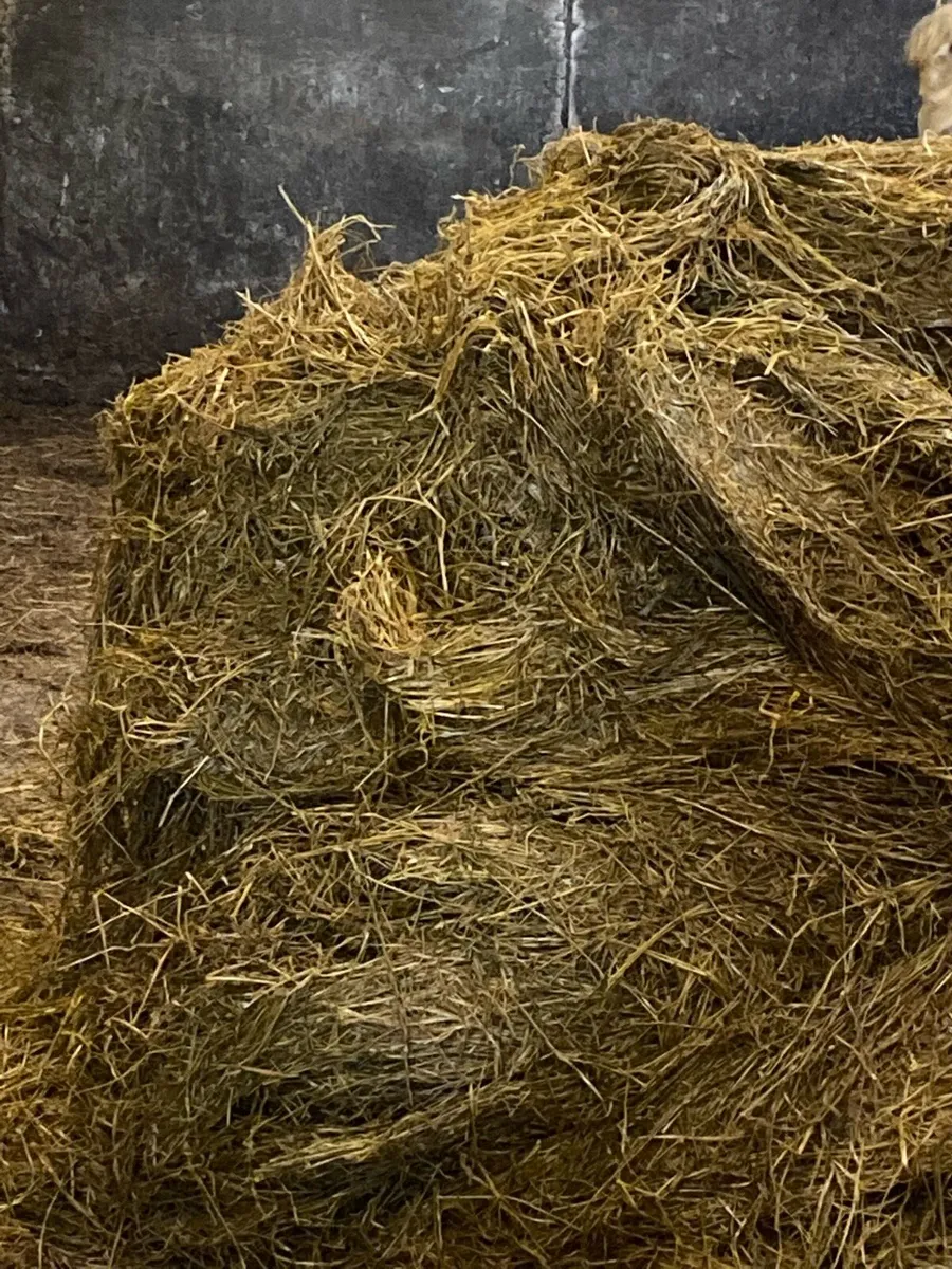 Silage bales - Image 2