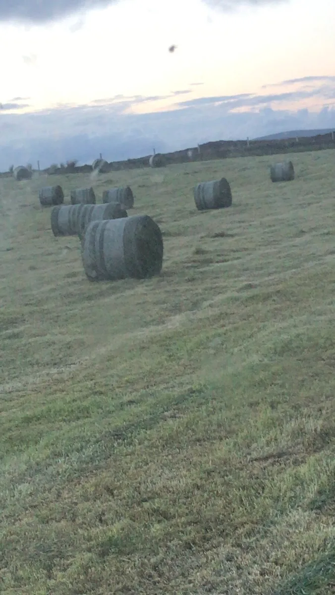 Silage bales - Image 3