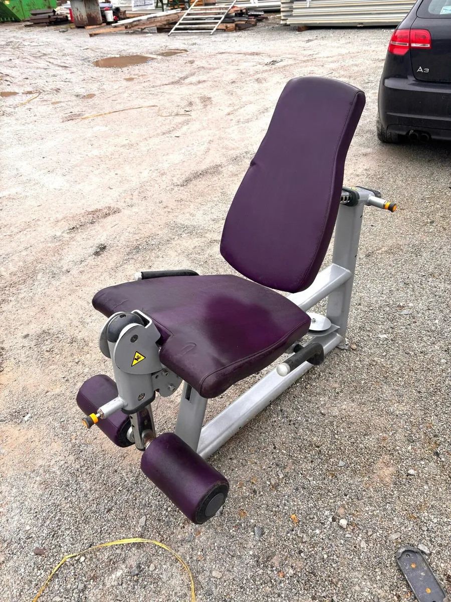 Leg Extension and Leg press - Image 2