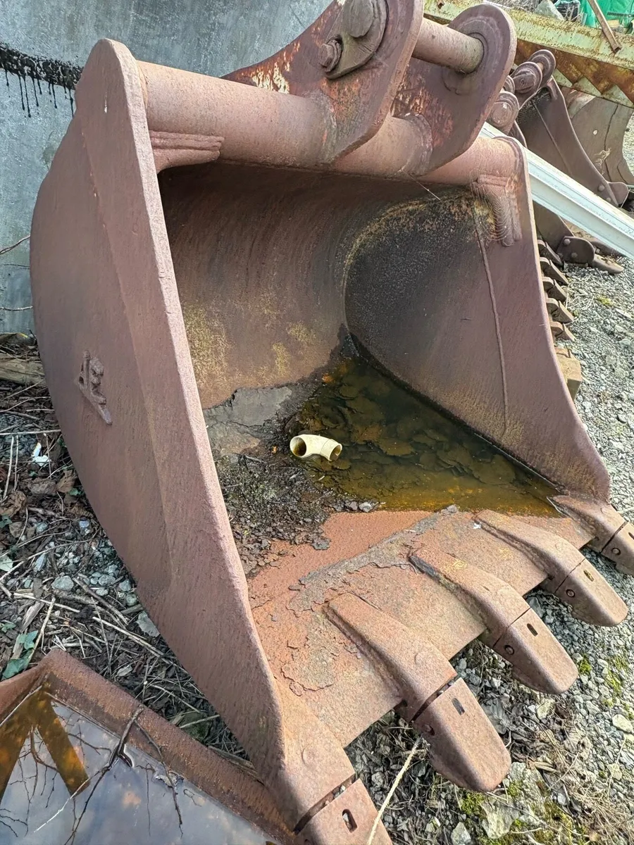 Yard clear out - Image 2