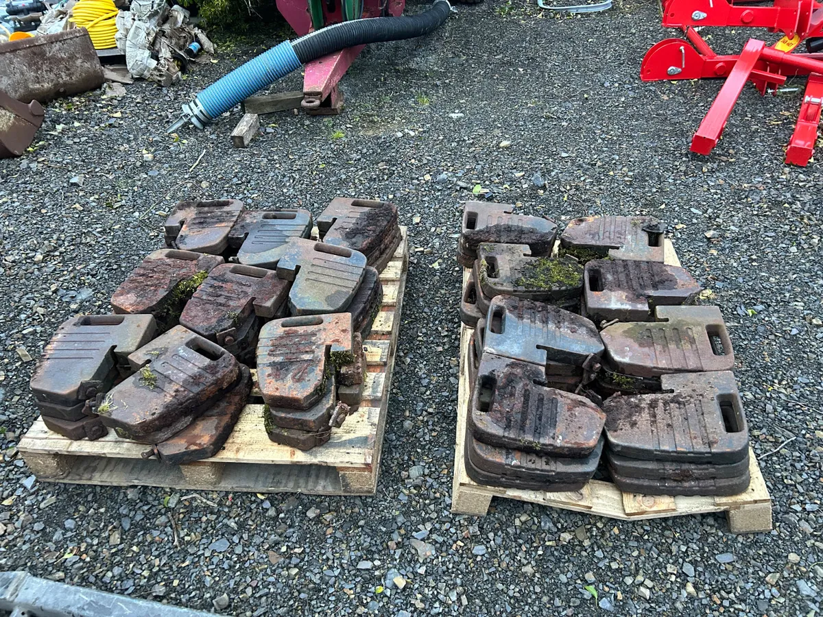 Massey Ferguson 25KG Weights - Image 3