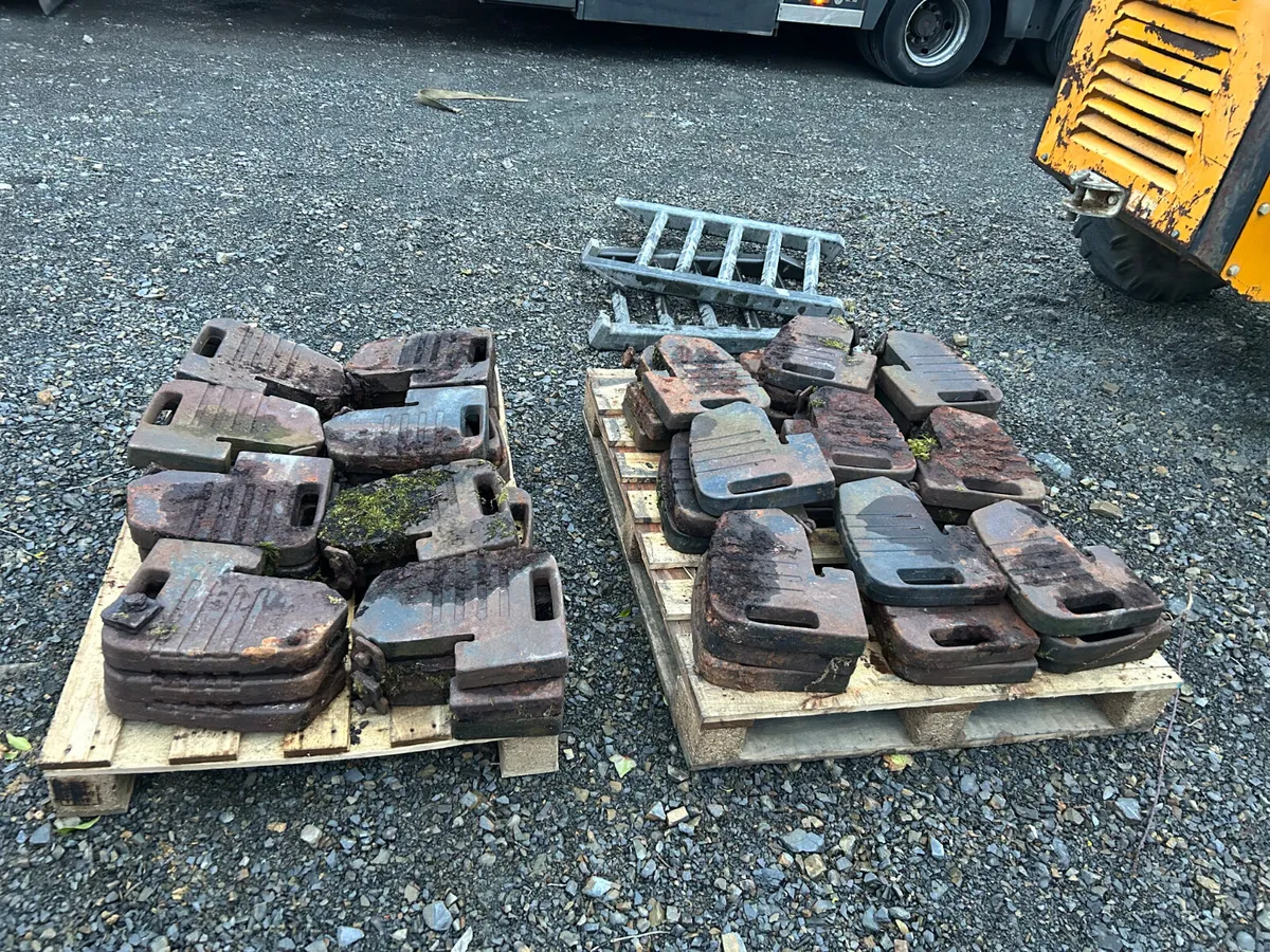 Massey Ferguson 25KG Weights - Image 2