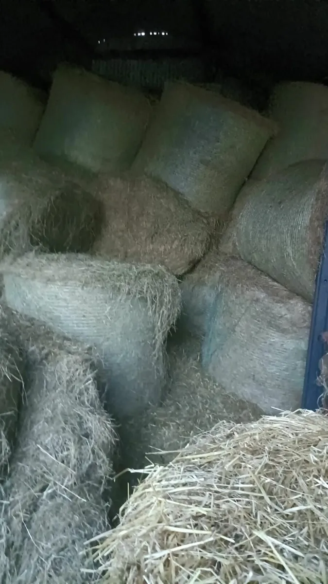 Round bales of Silage and Hailage - Image 1