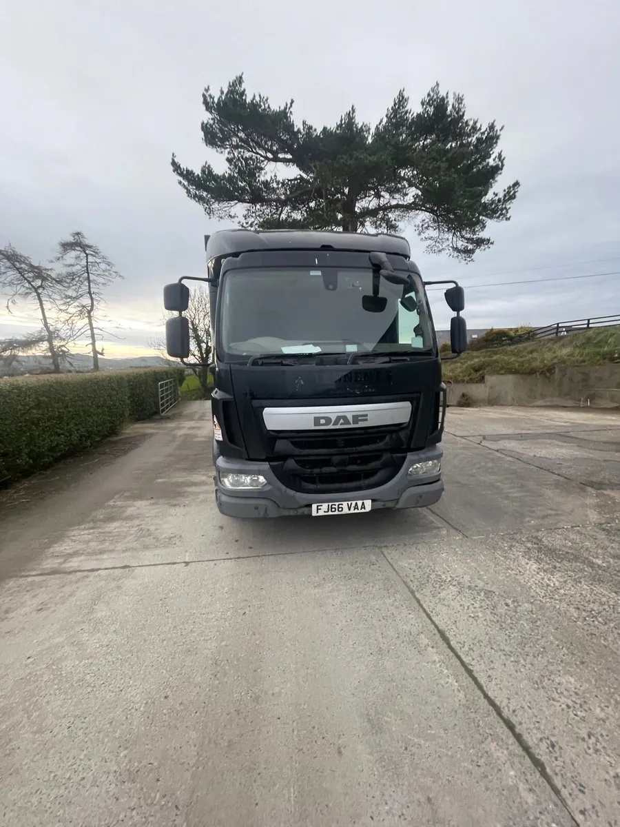 DAF lf 230 - Image 3