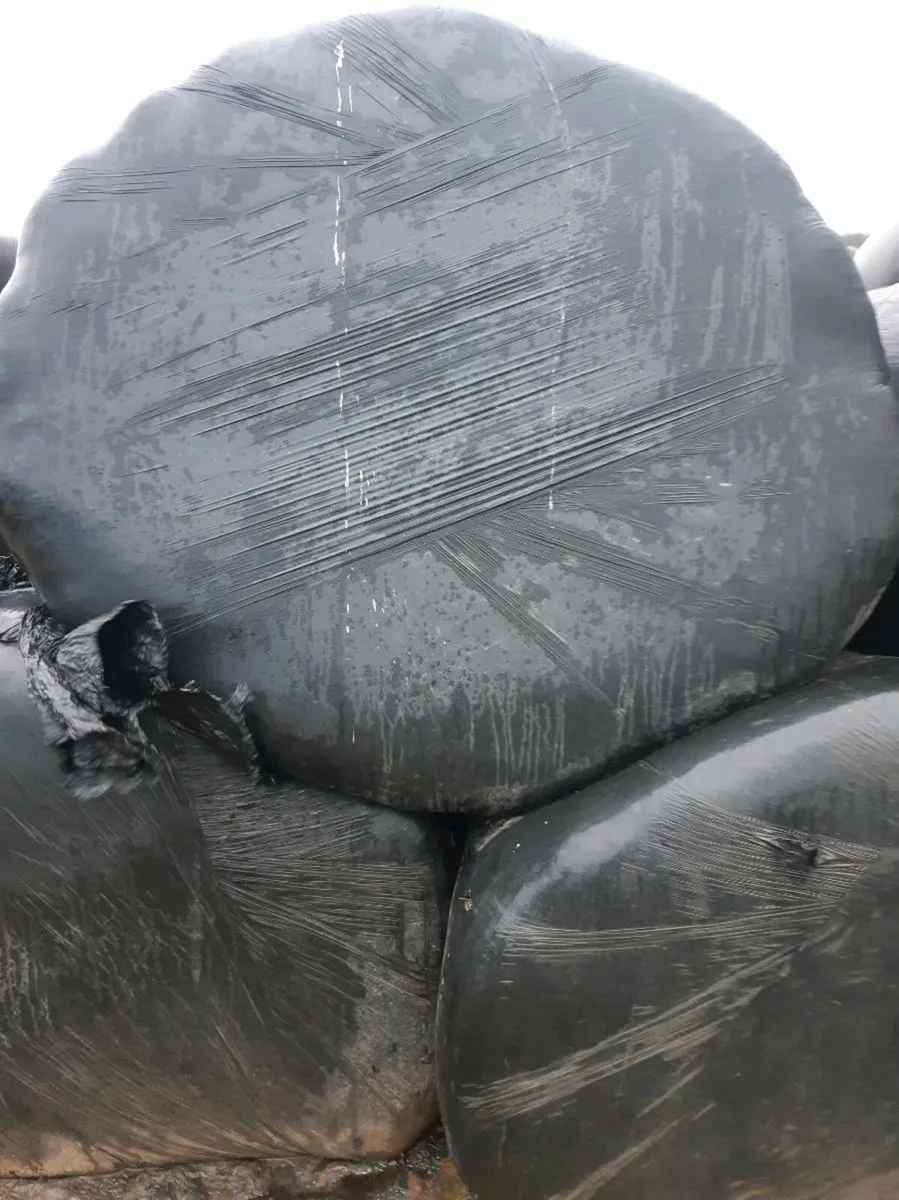 Round bales - Image 2