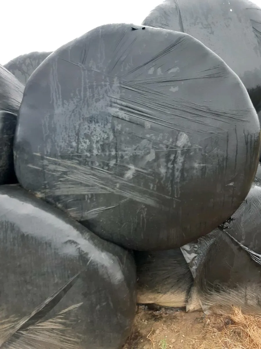 Round bales - Image 3