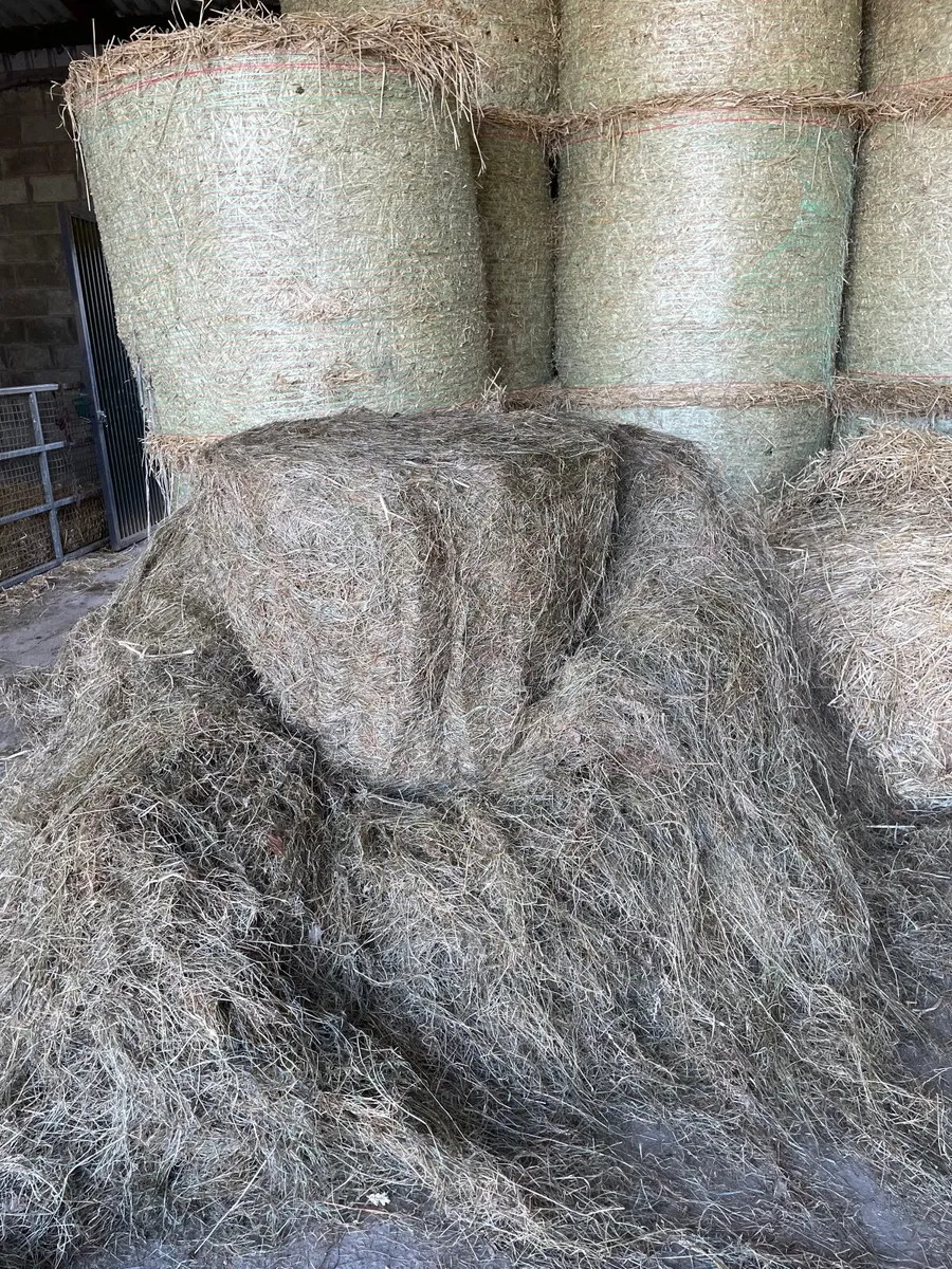 Top Quality Haylage & straw - Image 1